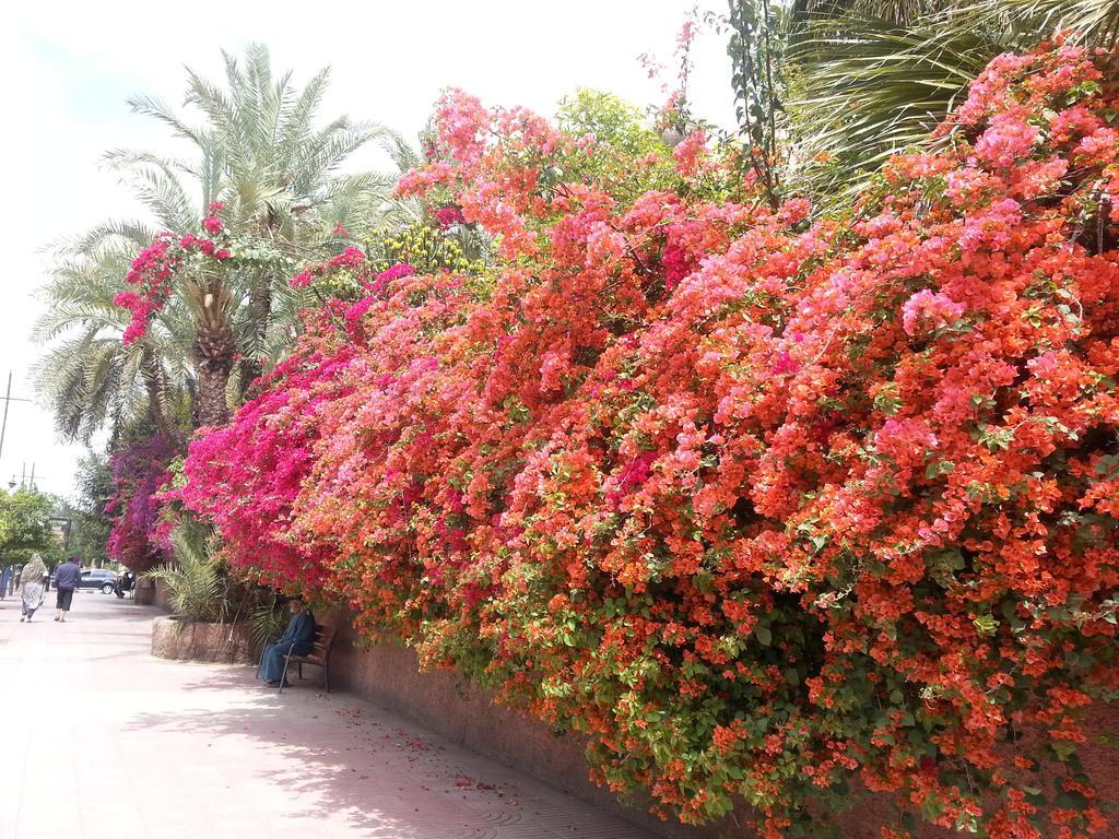 Riad Des Etoiles Marrakesch Exterior foto
